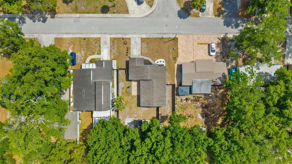 4928 Steel Dust Lane Lutz FL 33559