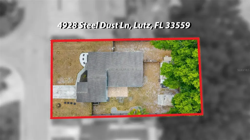 4928 Steel Dust Lane Lutz FL 33559