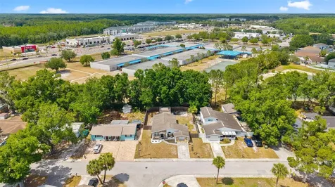 4928 Steel Dust Lane Lutz FL 33559