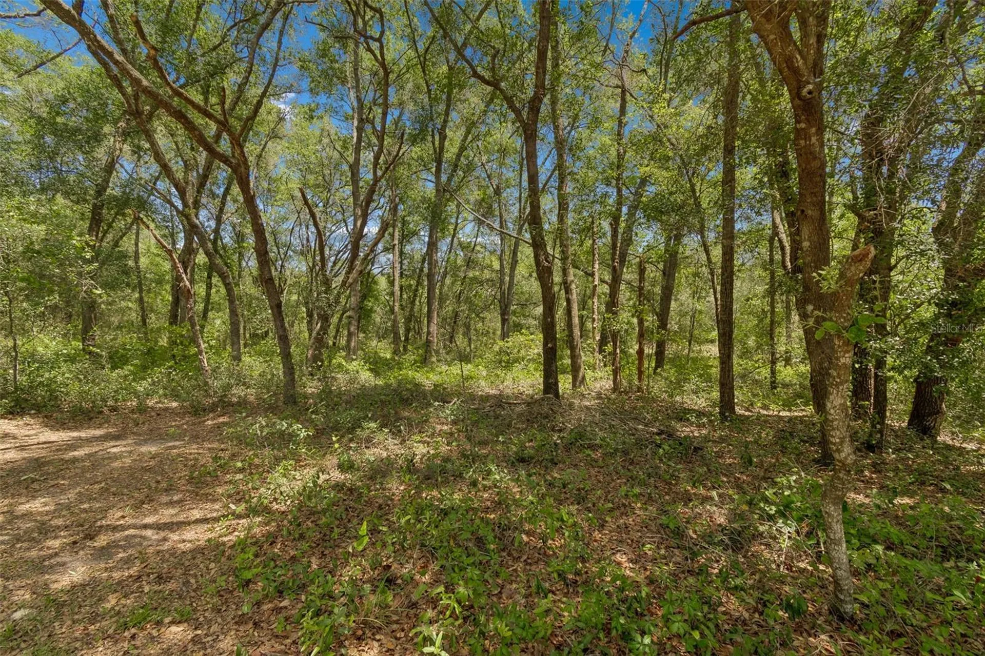 3757 E Side Court Inverness FL 34453
