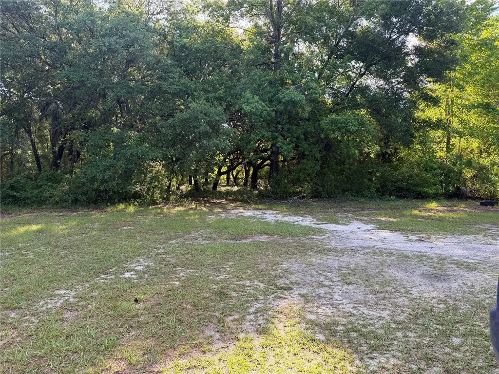 14600 NE 150th Avenue Fort Mc Coy FL 32134