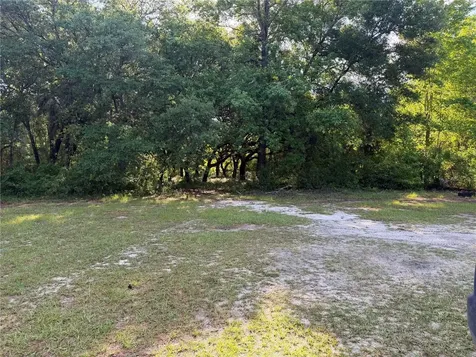 14600 NE 150th Avenue Fort Mc Coy FL 32134