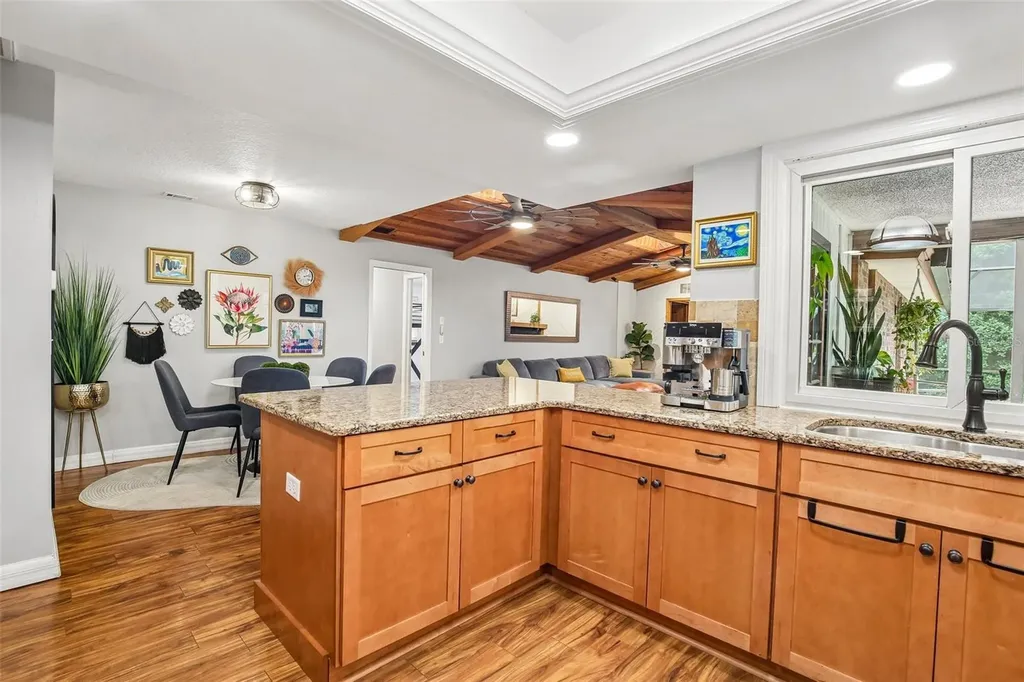 1314 Eniswood Parkway Palm Harbor FL 34683