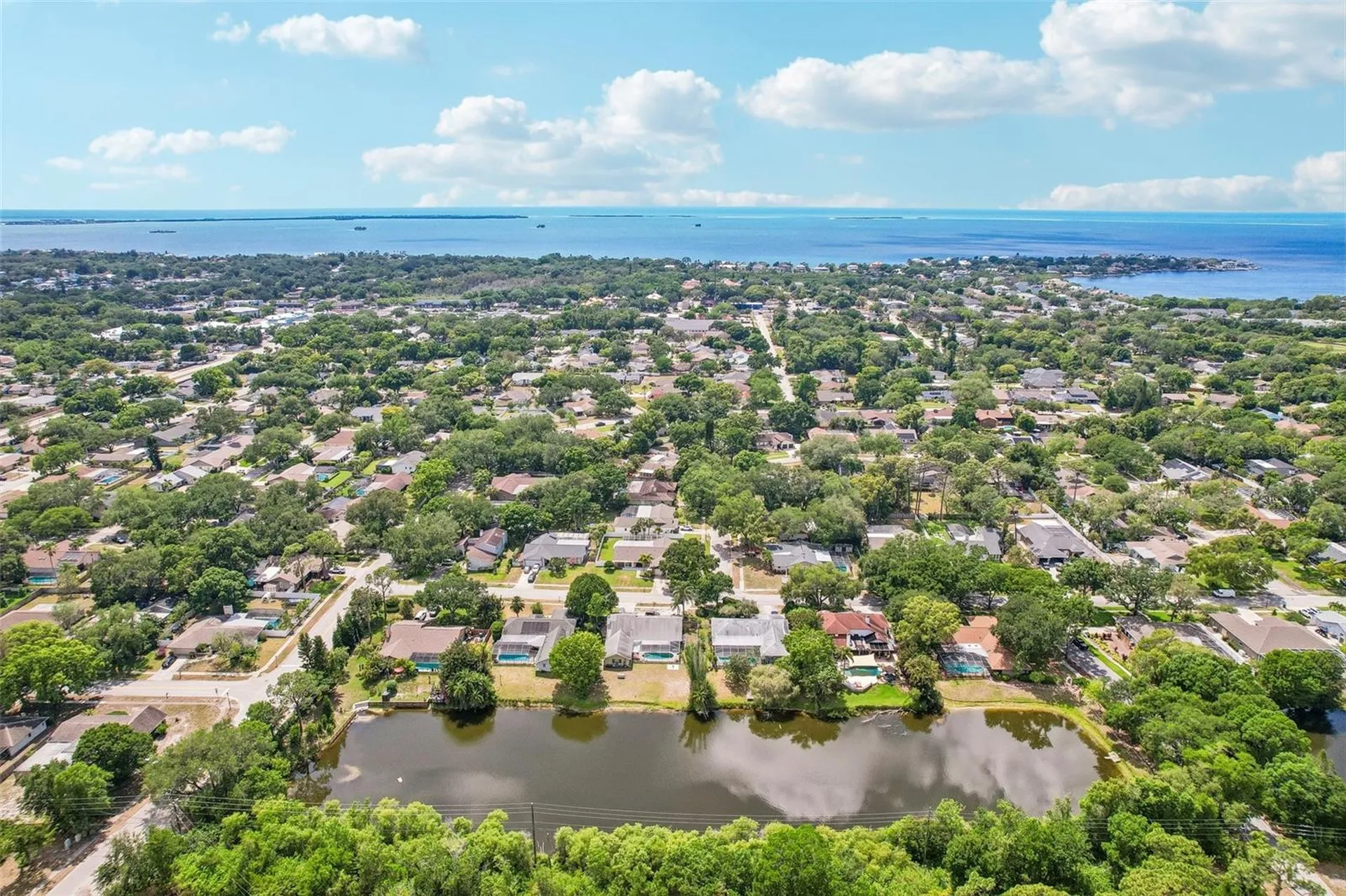1314 Eniswood Parkway Palm Harbor FL 34683