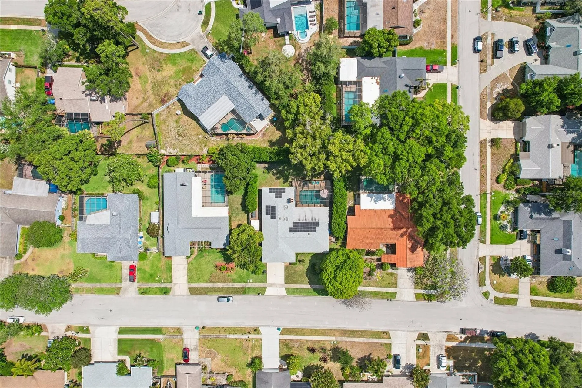 1314 Eniswood Parkway Palm Harbor FL 34683