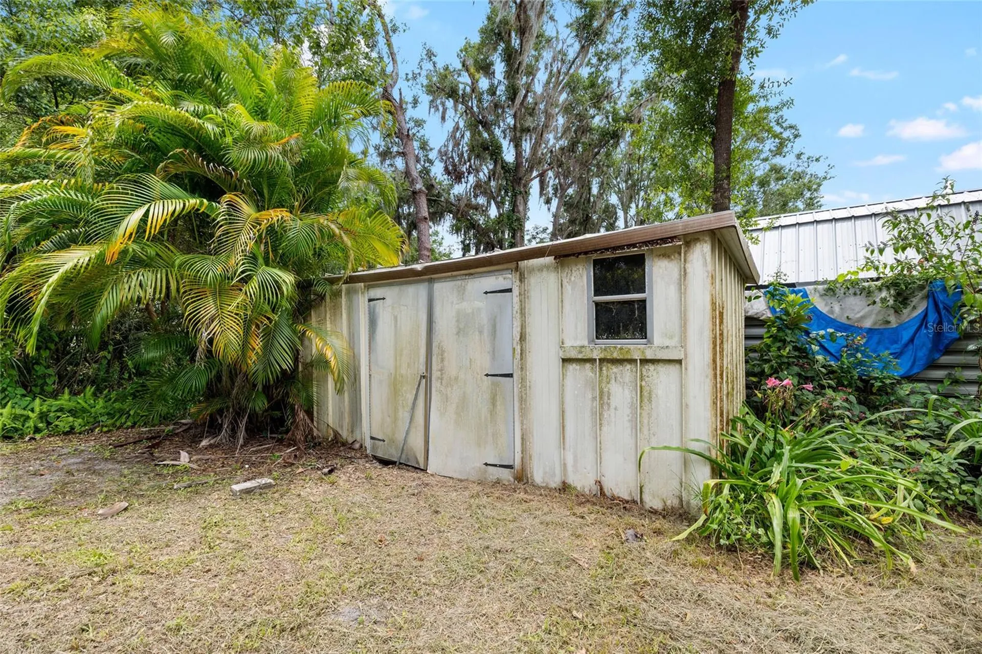 14406 Middlefield Lane Odessa FL 33556