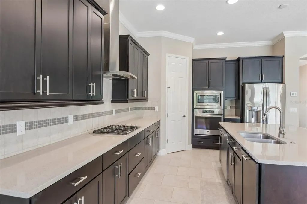 8355 Swiss Chard Circle Land O Lakes FL 34637
