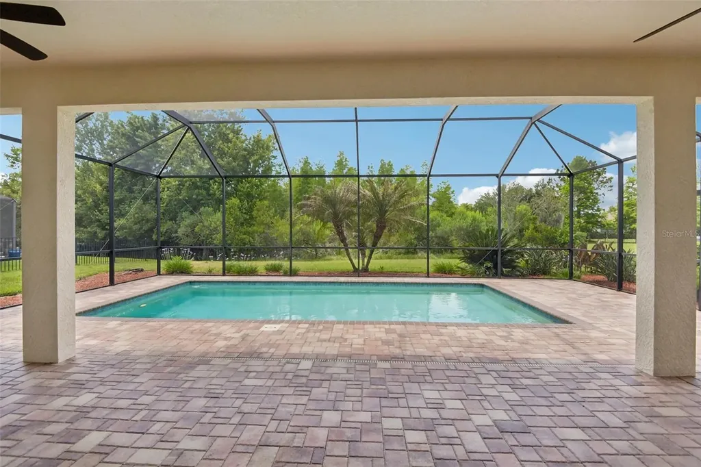 8355 Swiss Chard Circle Land O Lakes FL 34637