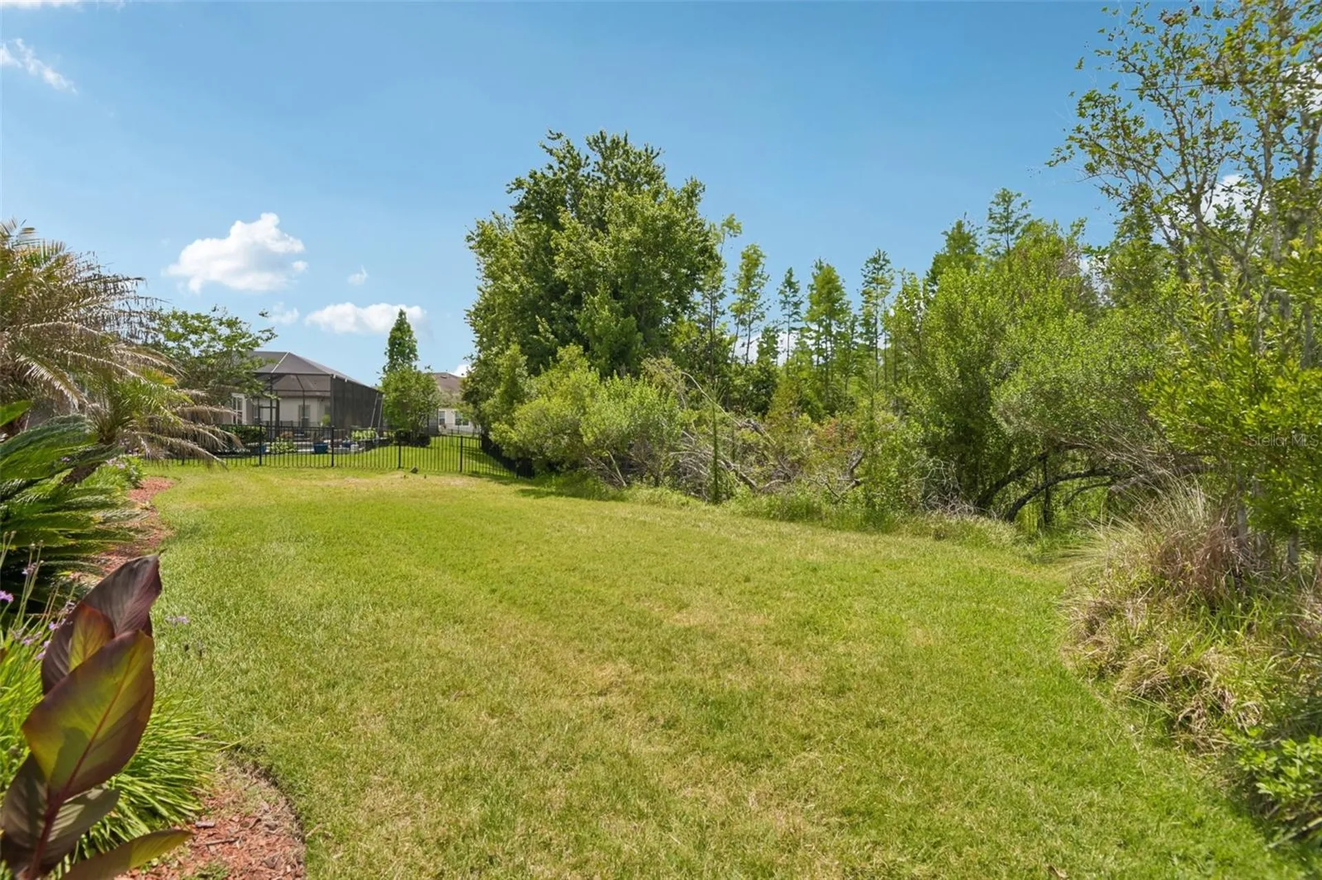 8355 Swiss Chard Circle Land O Lakes FL 34637