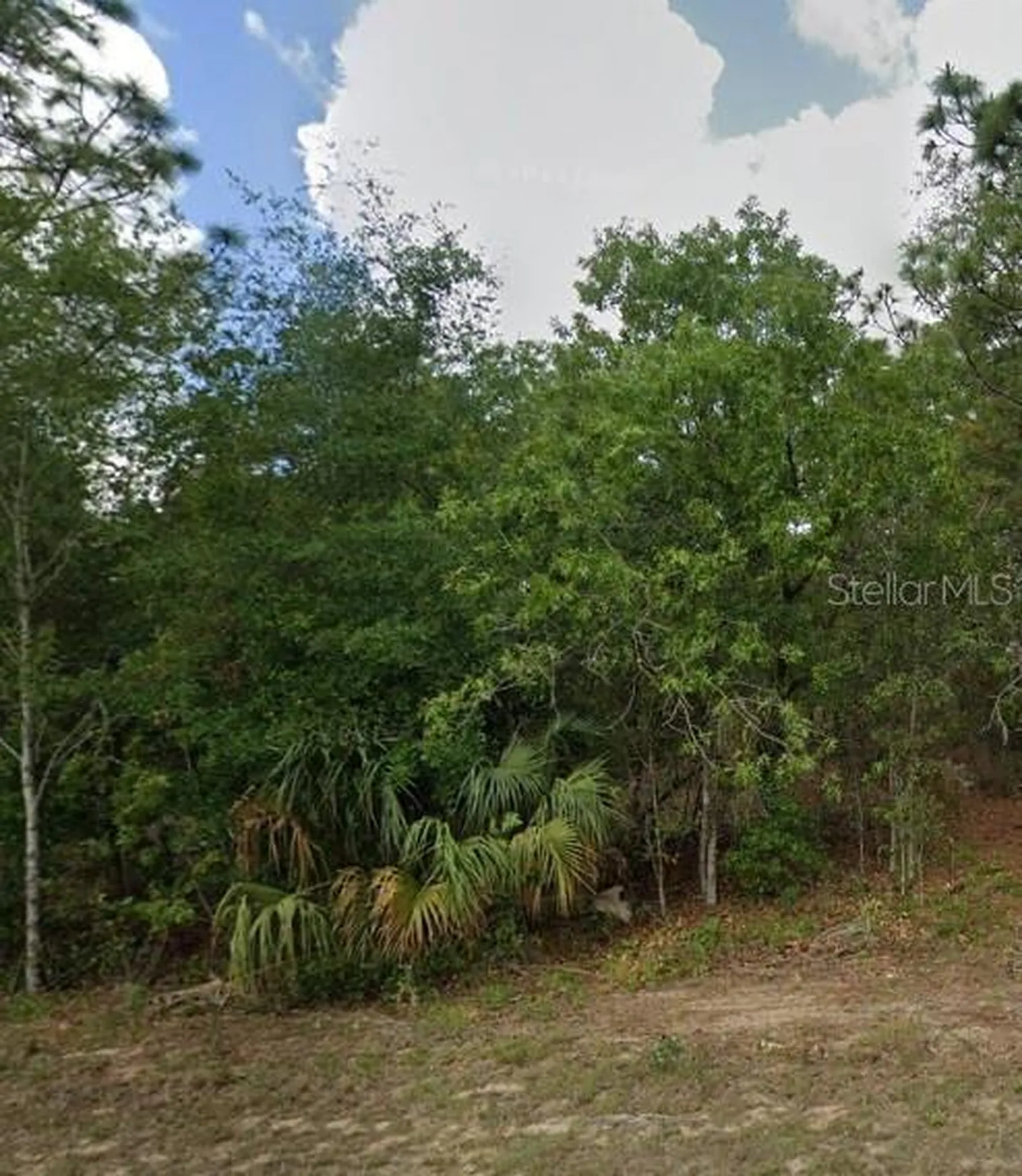 818 N Kensington Avenue Lecanto FL 34461