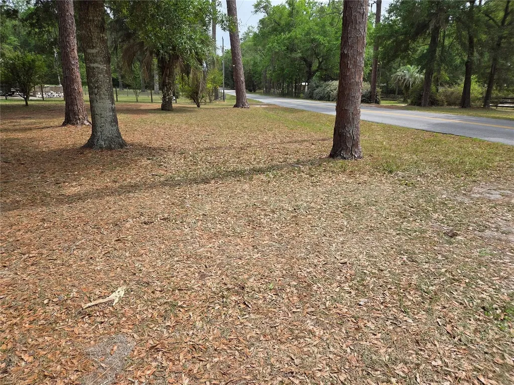 4497 NE 140th Court Williston FL 32696