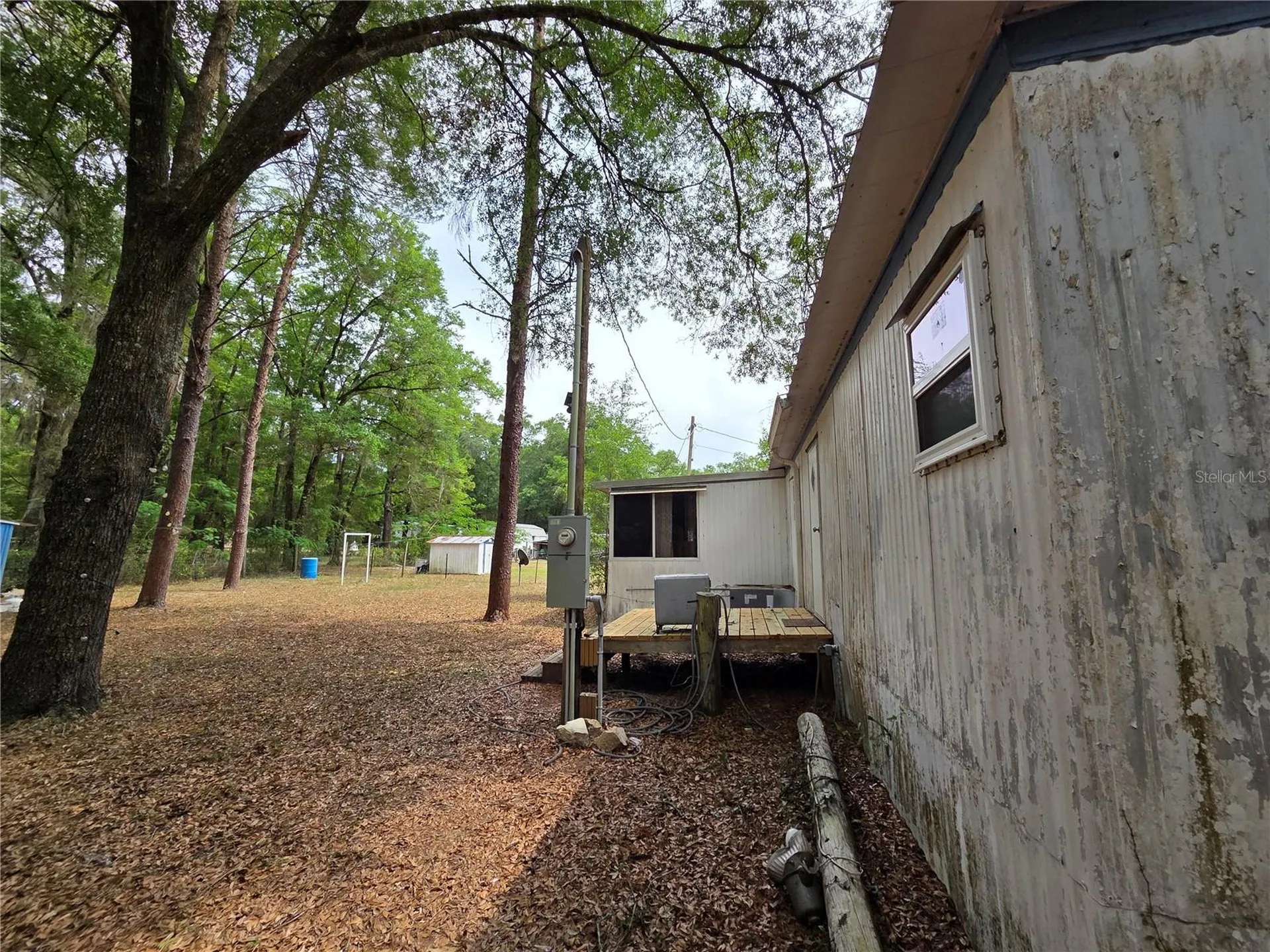 4497 NE 140th Court Williston FL 32696