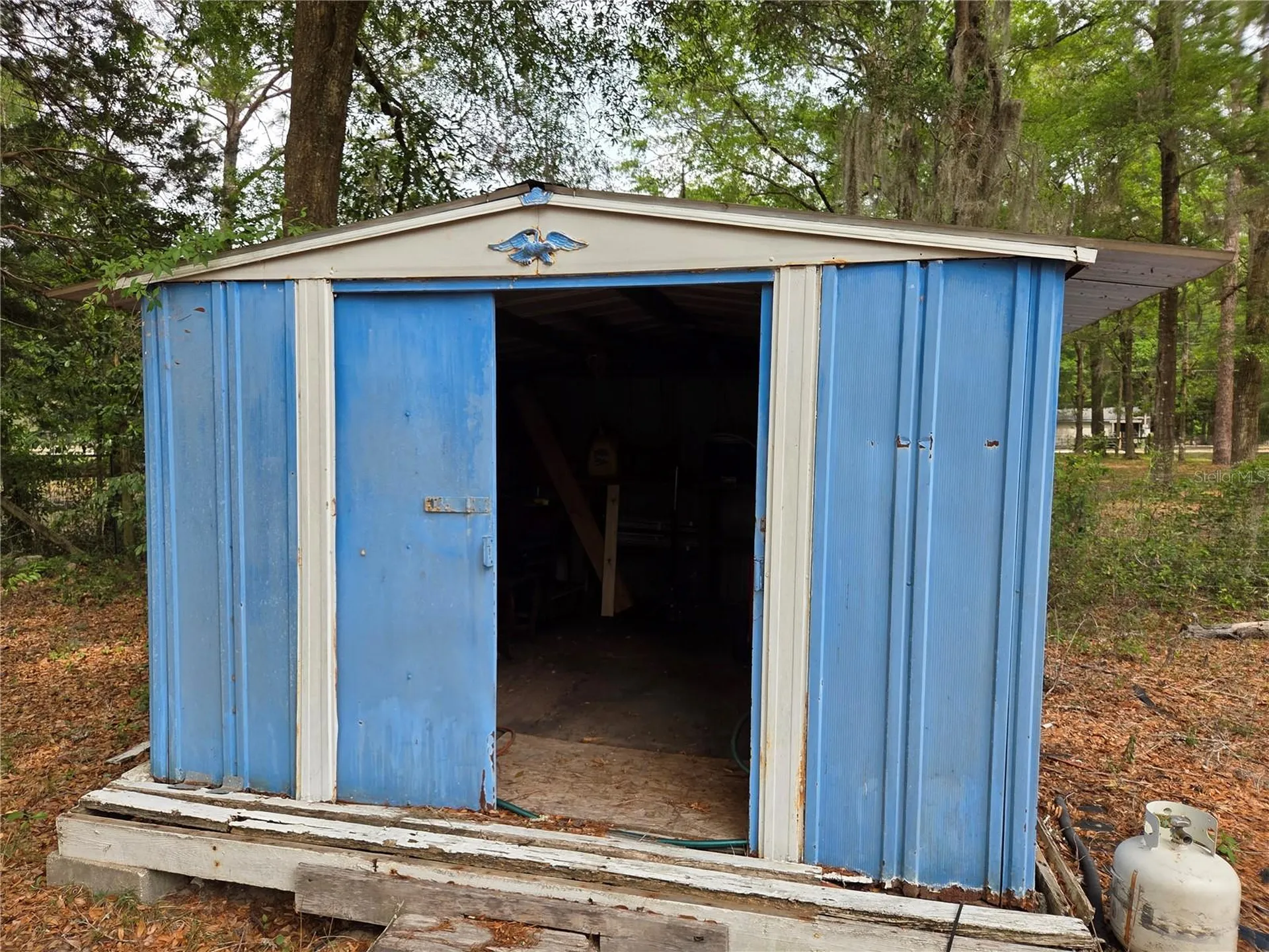 4497 NE 140th Court Williston FL 32696