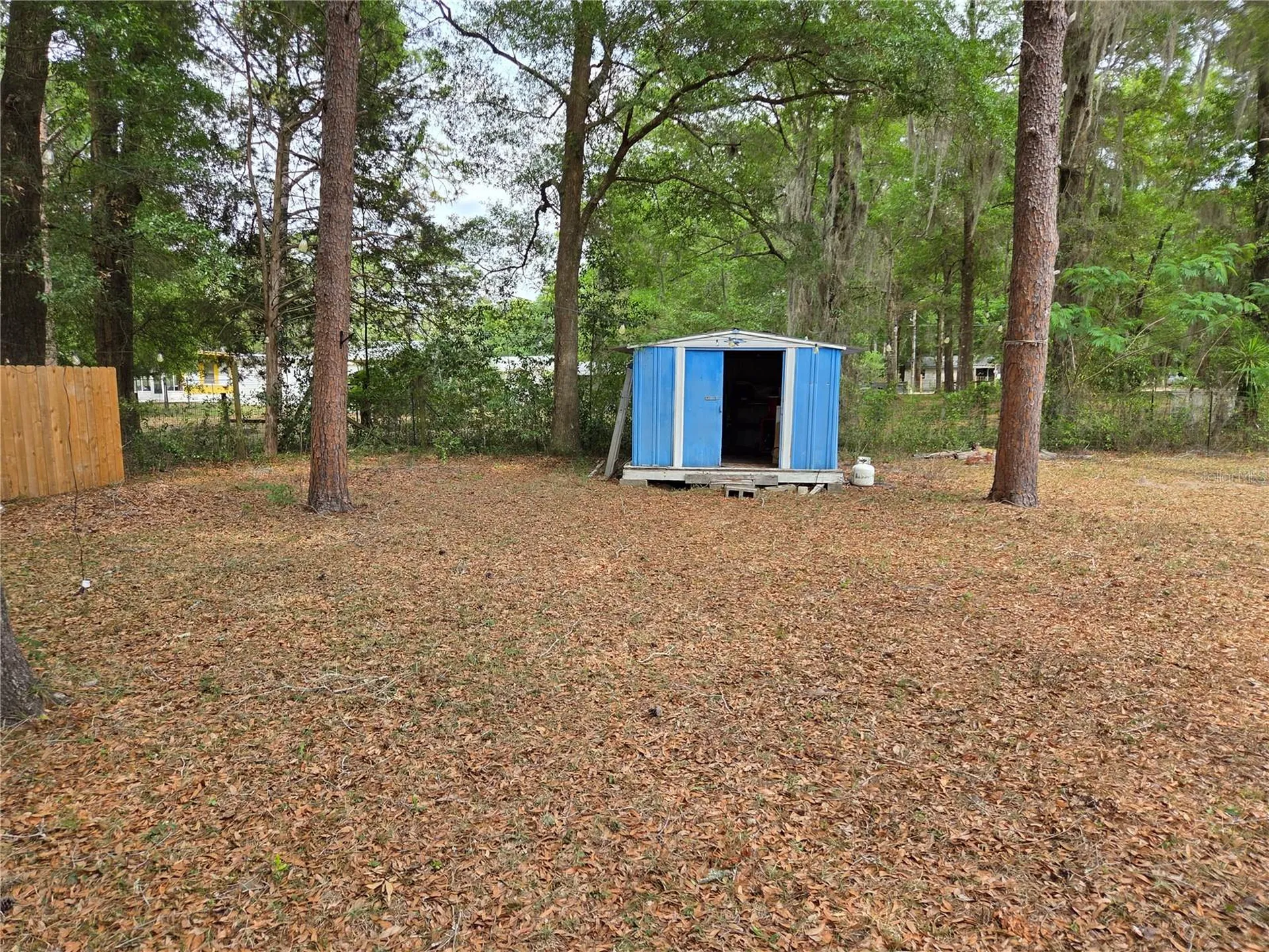 4497 NE 140th Court Williston FL 32696