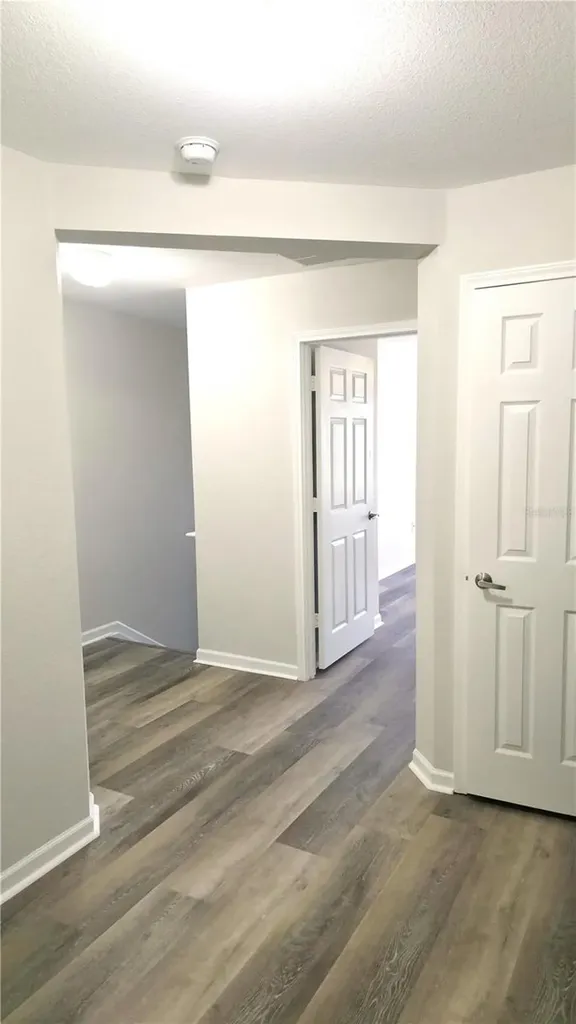 8216 Downpatrick Court Tampa FL 33610