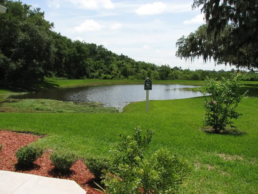 8216 Downpatrick Court Tampa FL 33610
