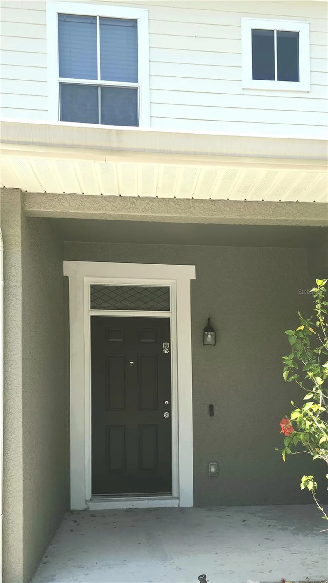 8216 Downpatrick Court Tampa FL 33610