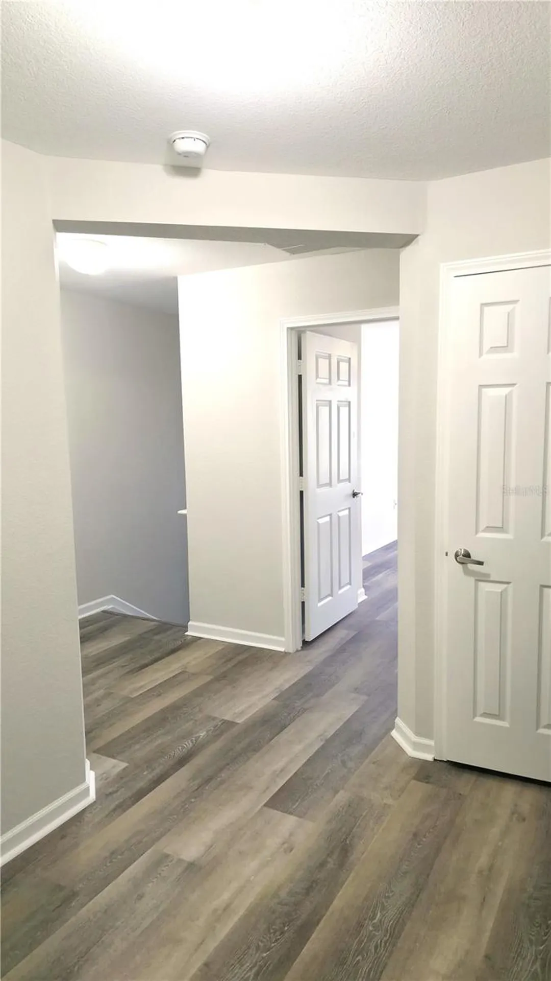 8216 Downpatrick Court Tampa FL 33610
