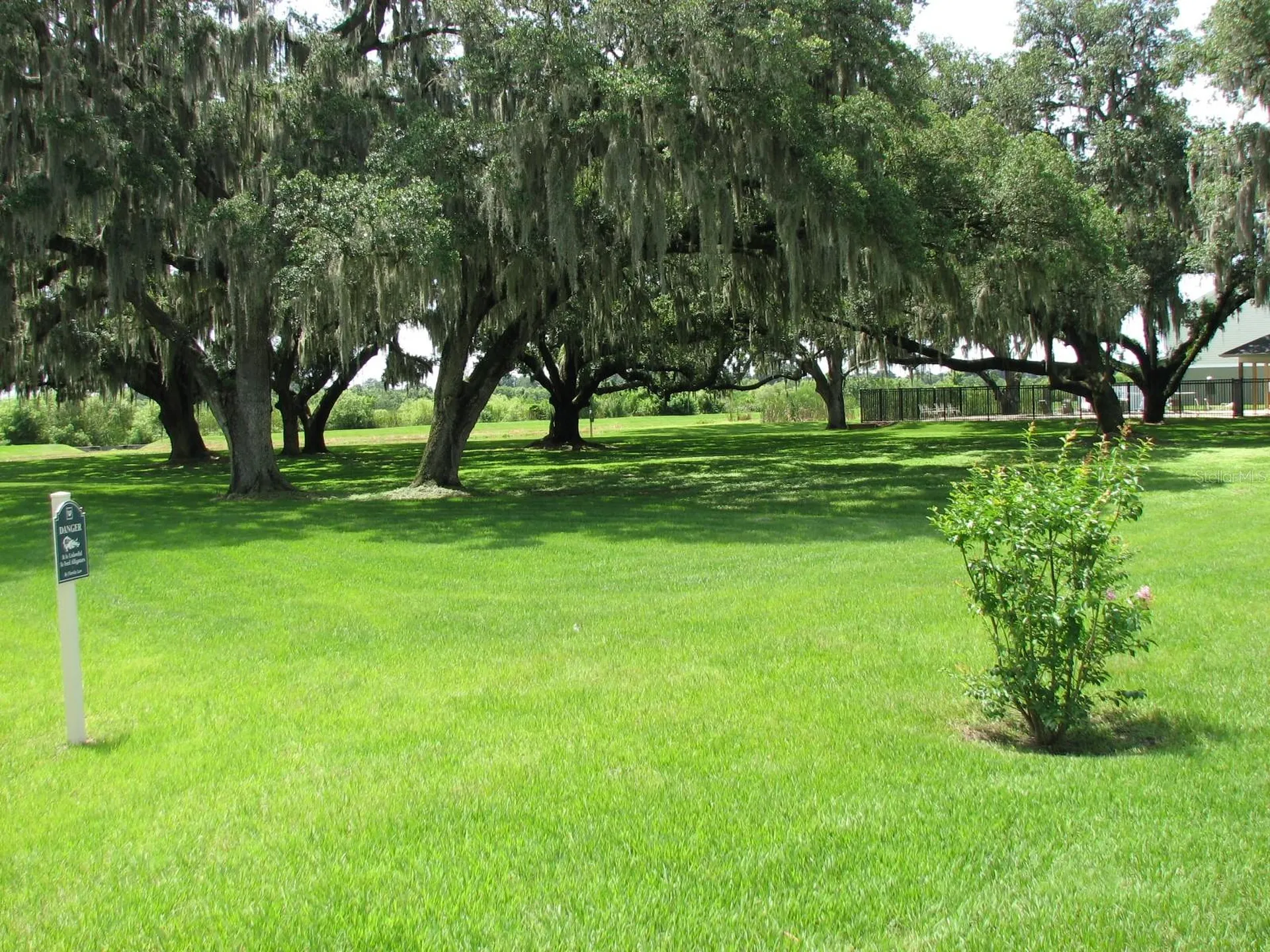 8216 Downpatrick Court Tampa FL 33610