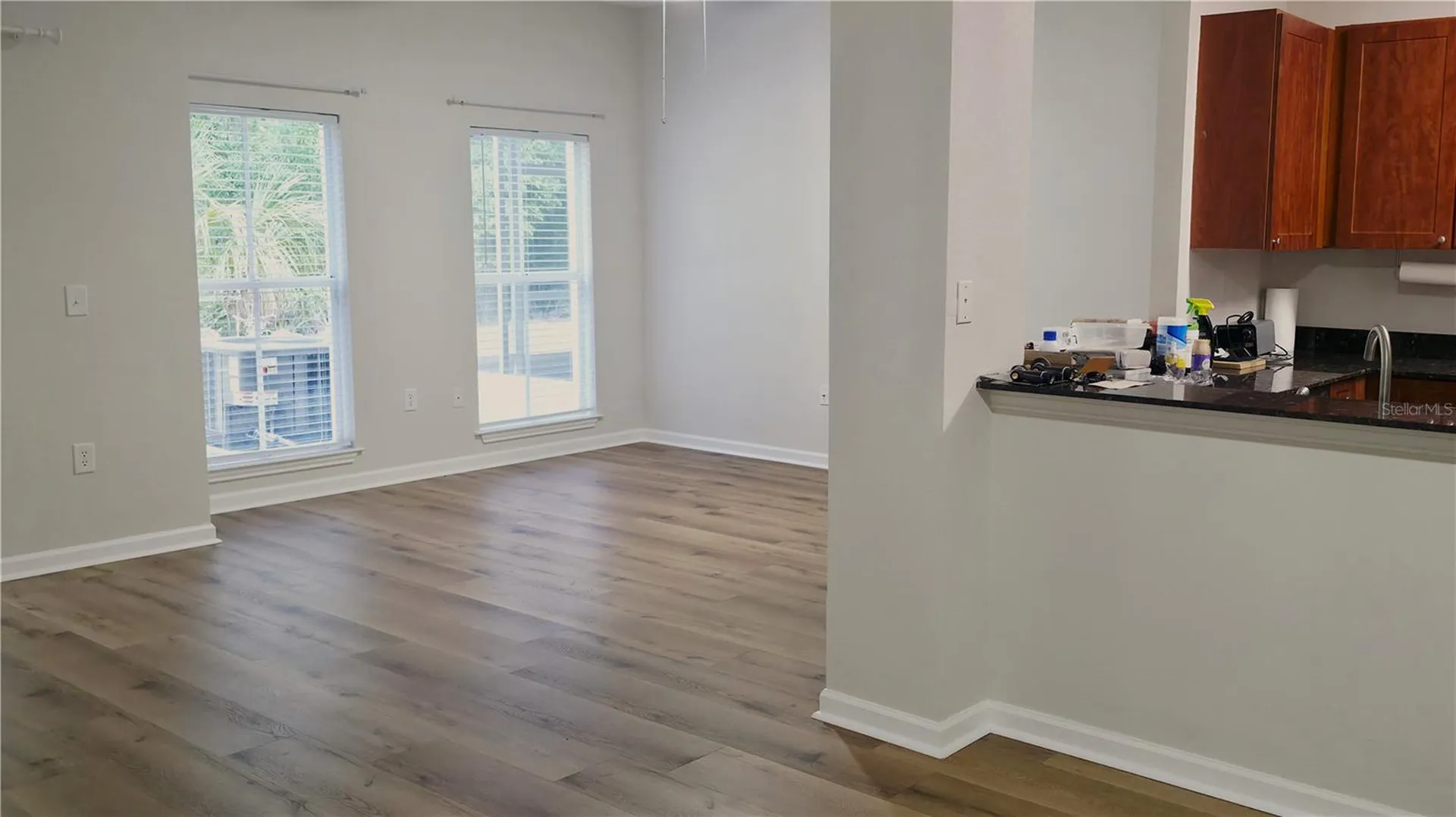 8216 Downpatrick Court Tampa FL 33610