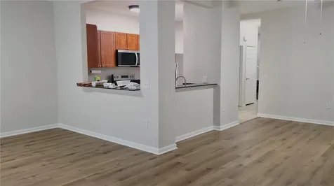 8216 Downpatrick Court Tampa FL 33610
