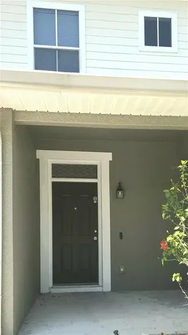 8216 Downpatrick Court Tampa FL 33610