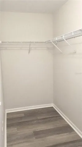 8216 Downpatrick Court Tampa FL 33610