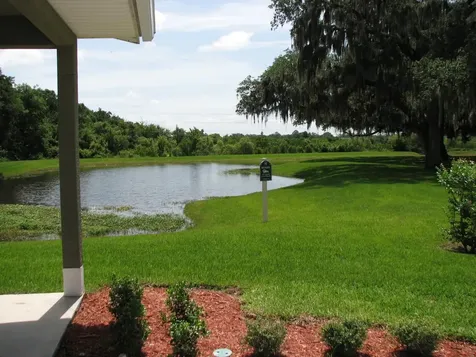 8216 Downpatrick Court Tampa FL 33610