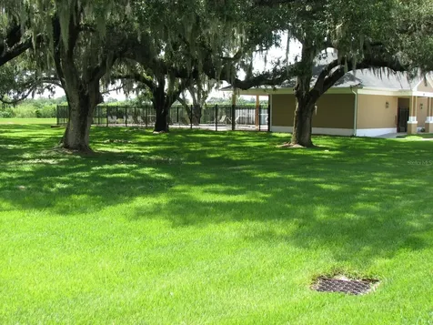 8216 Downpatrick Court Tampa FL 33610