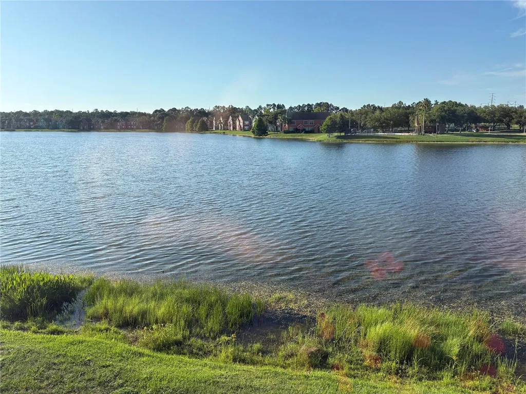 9832 Lake Chase Island Way Tampa FL 33626