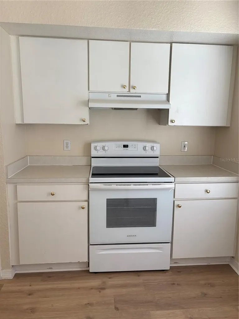 9832 Lake Chase Island Way Tampa FL 33626