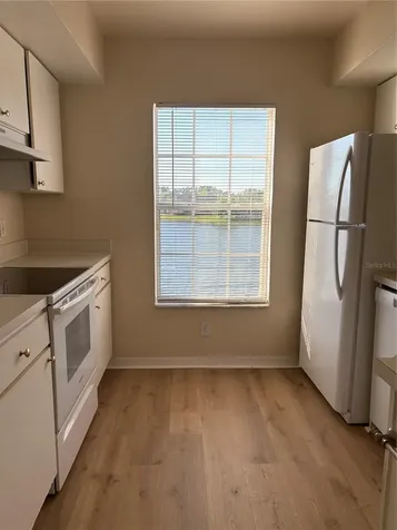 9832 Lake Chase Island Way Tampa FL 33626