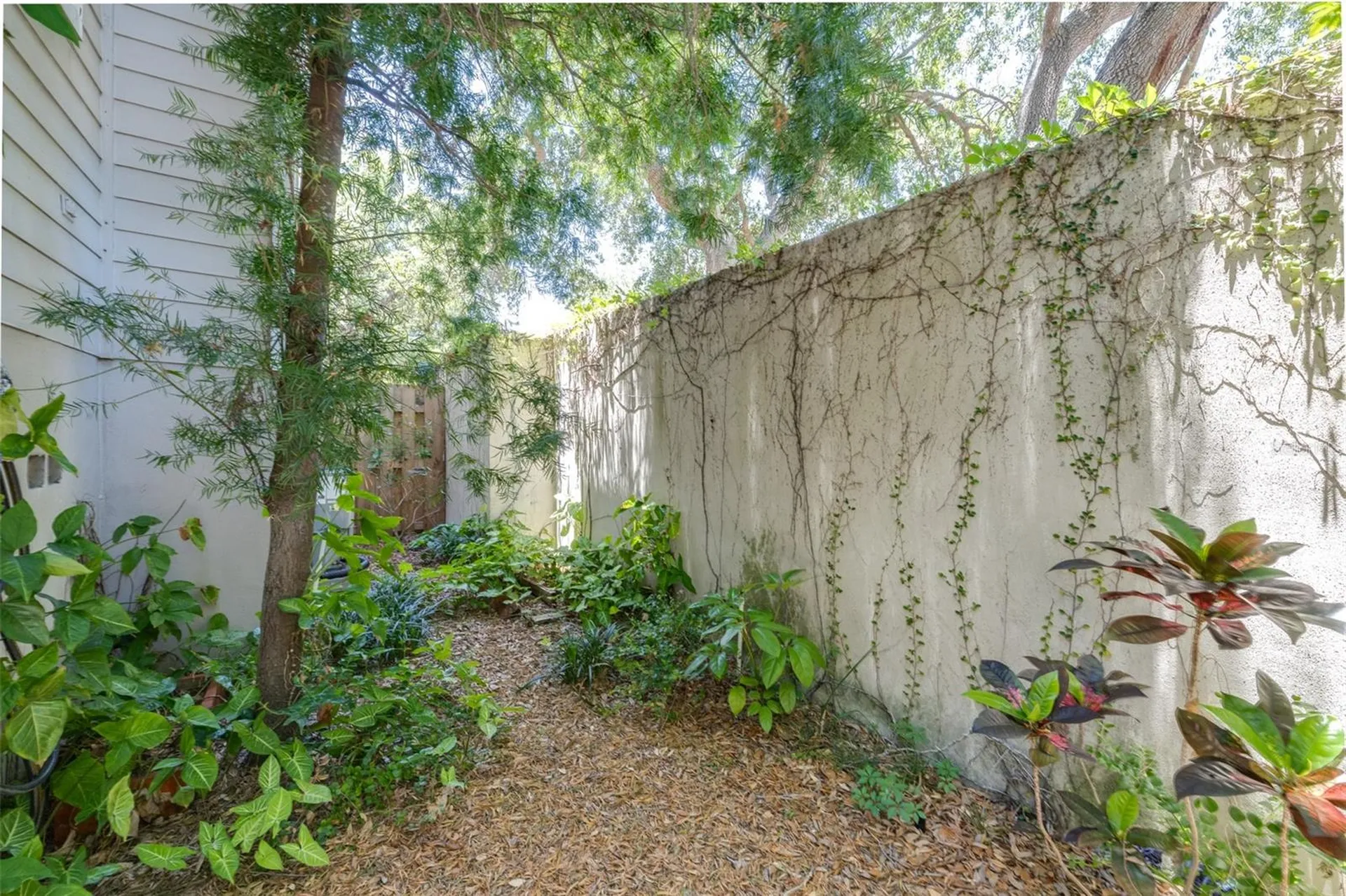 3315 W De Leon Street Tampa FL 33609