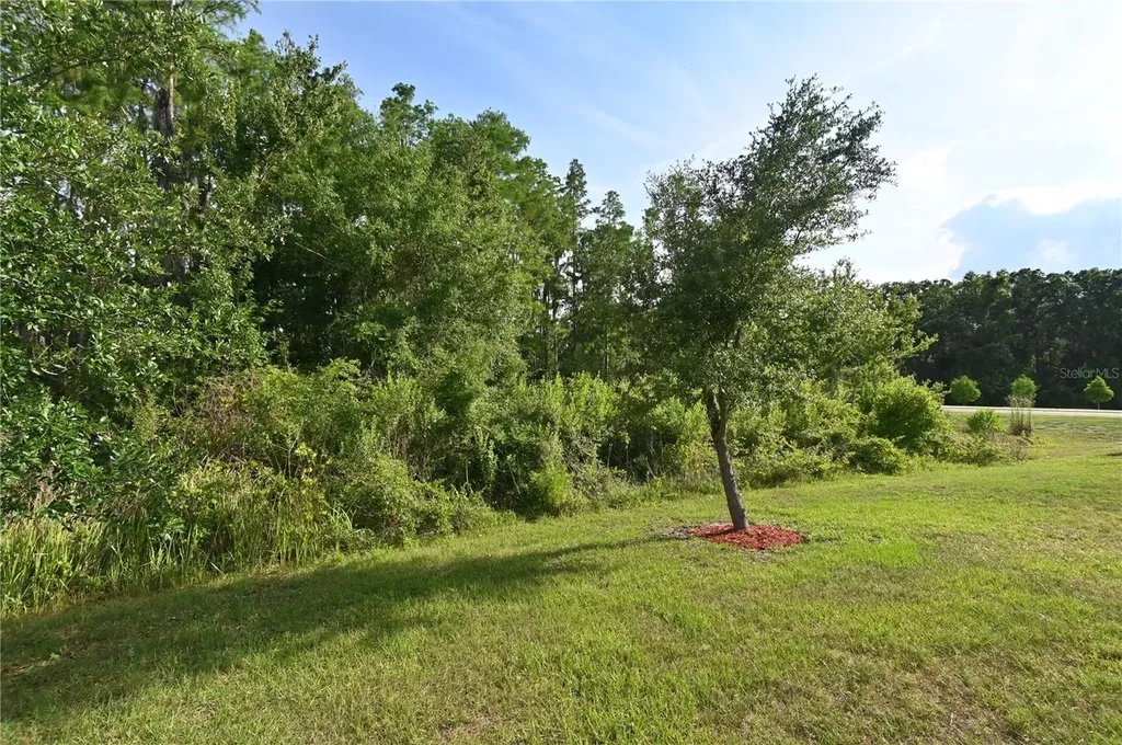 1052 Manzanar Place Wesley Chapel FL 33543