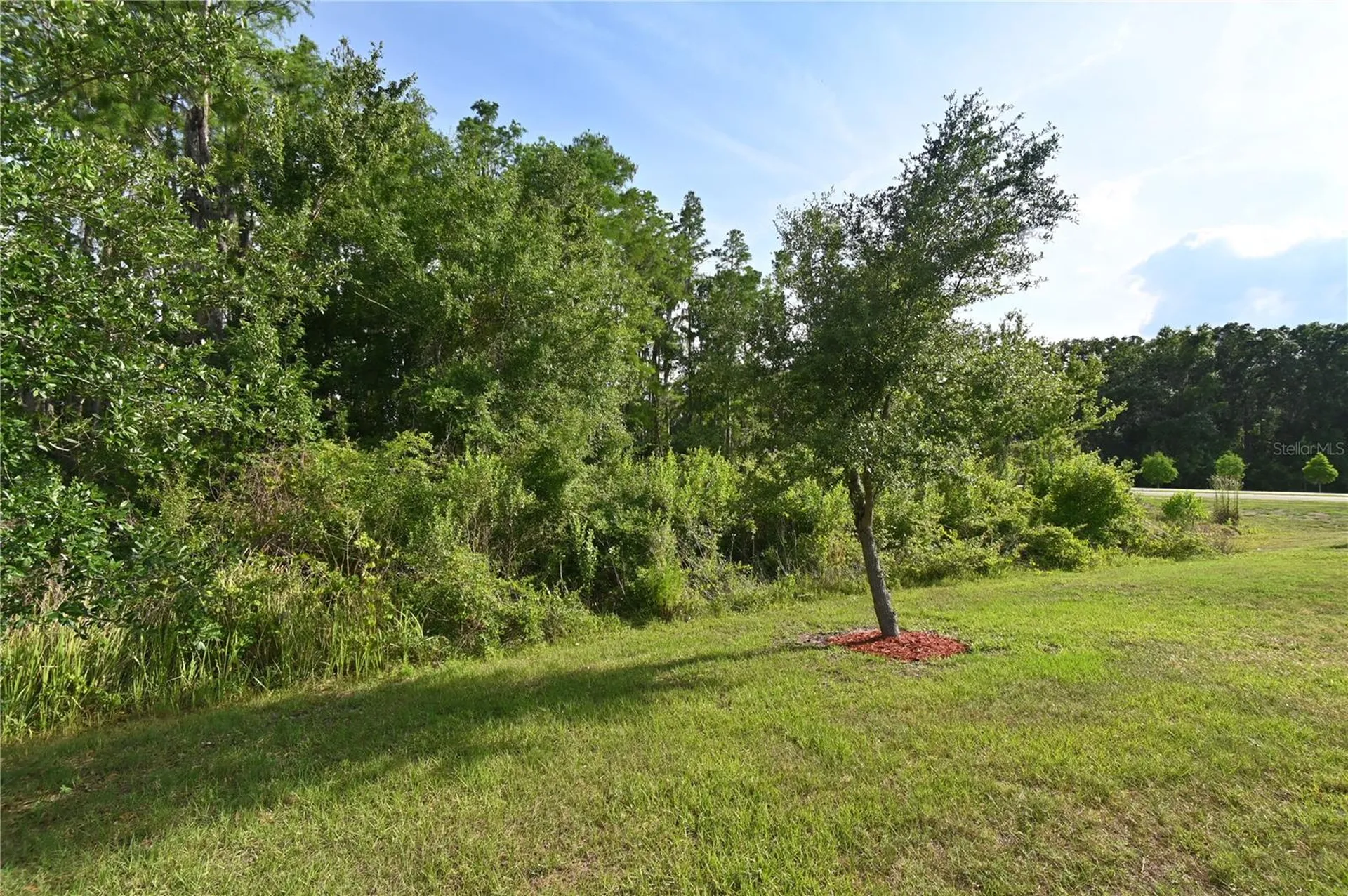 1052 Manzanar Place Wesley Chapel FL 33543