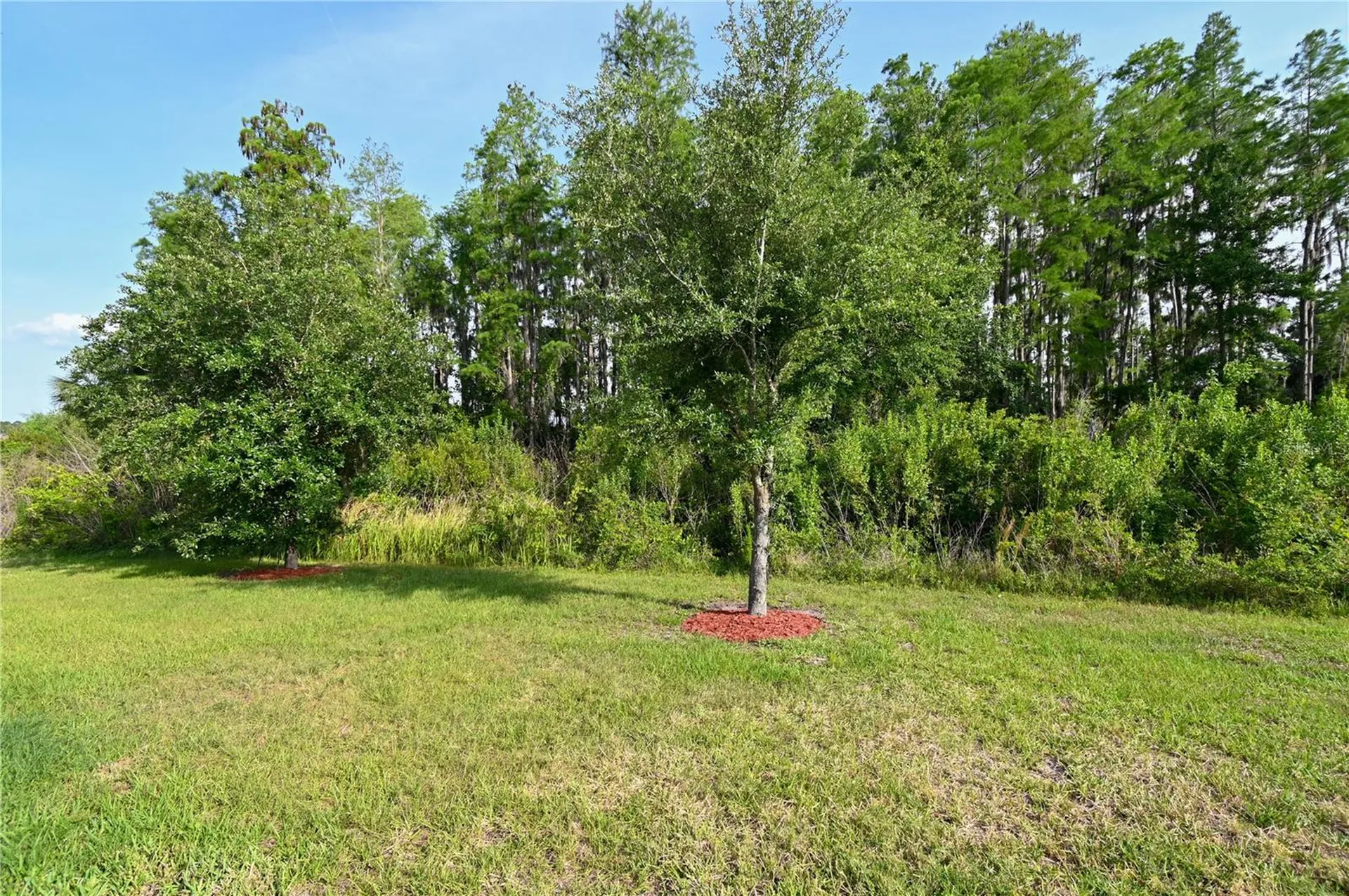 1052 Manzanar Place Wesley Chapel FL 33543