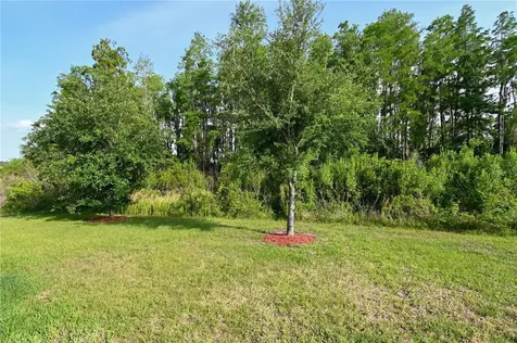 1052 Manzanar Place Wesley Chapel FL 33543