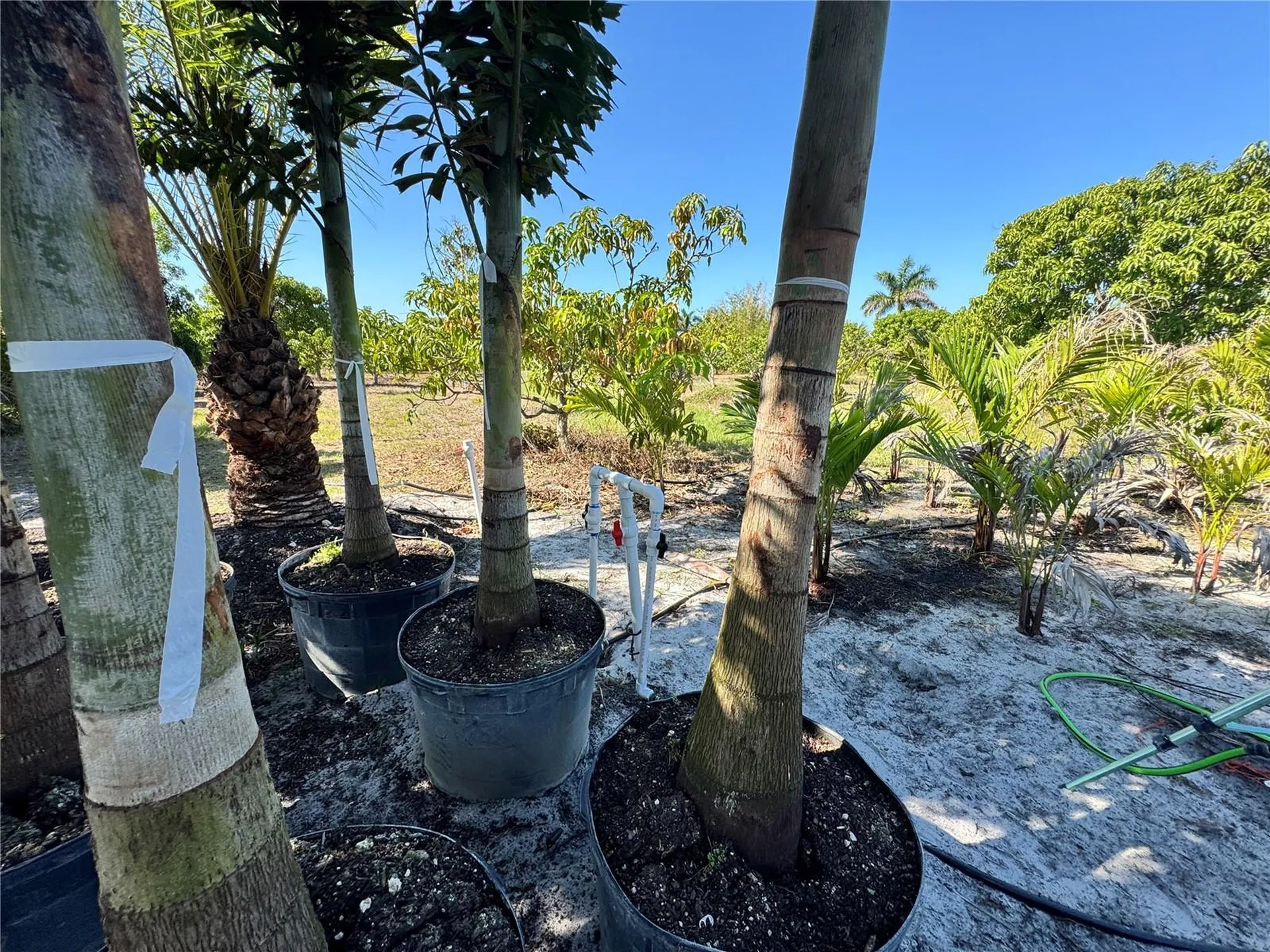 11851 Stringfellow Road Bokeelia FL 33922