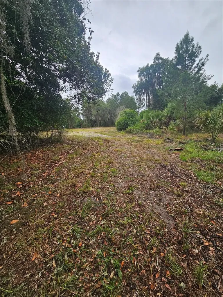 0000 Culver Way Geneva FL 32732
