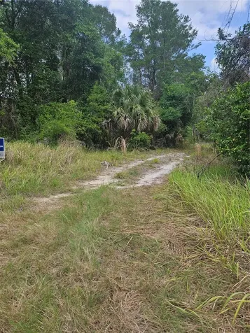 0000 Culver Way Geneva FL 32732