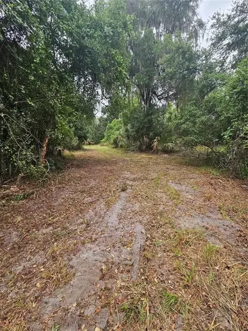0000 Culver Way Geneva FL 32732