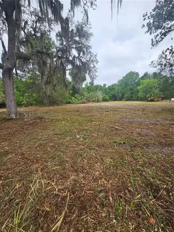 0 Culver Way Geneva FL 32732