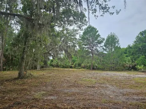 0 Culver Way Geneva FL 32732
