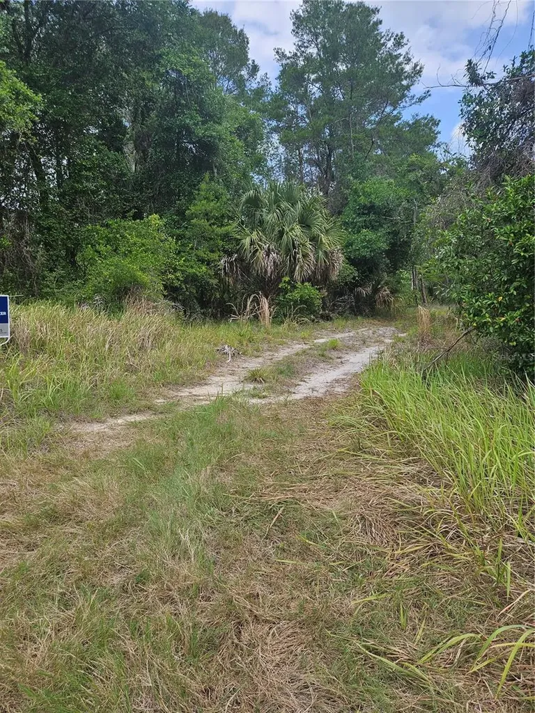 000 Culver Way Geneva FL 32732