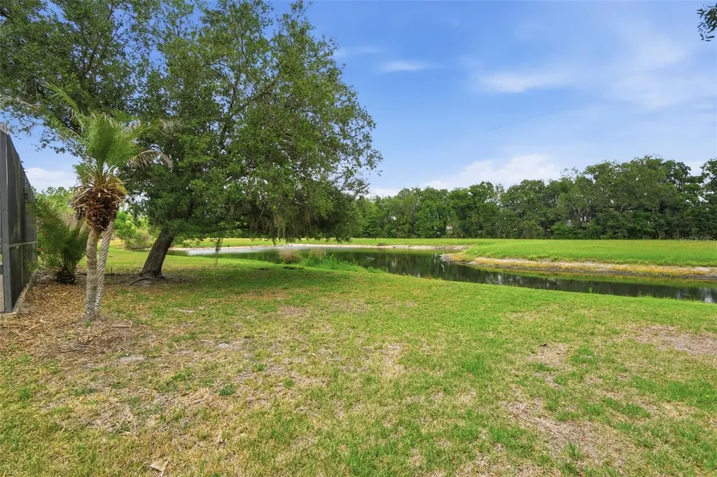 6409 Bridgecrest Drive Lithia FL 33547