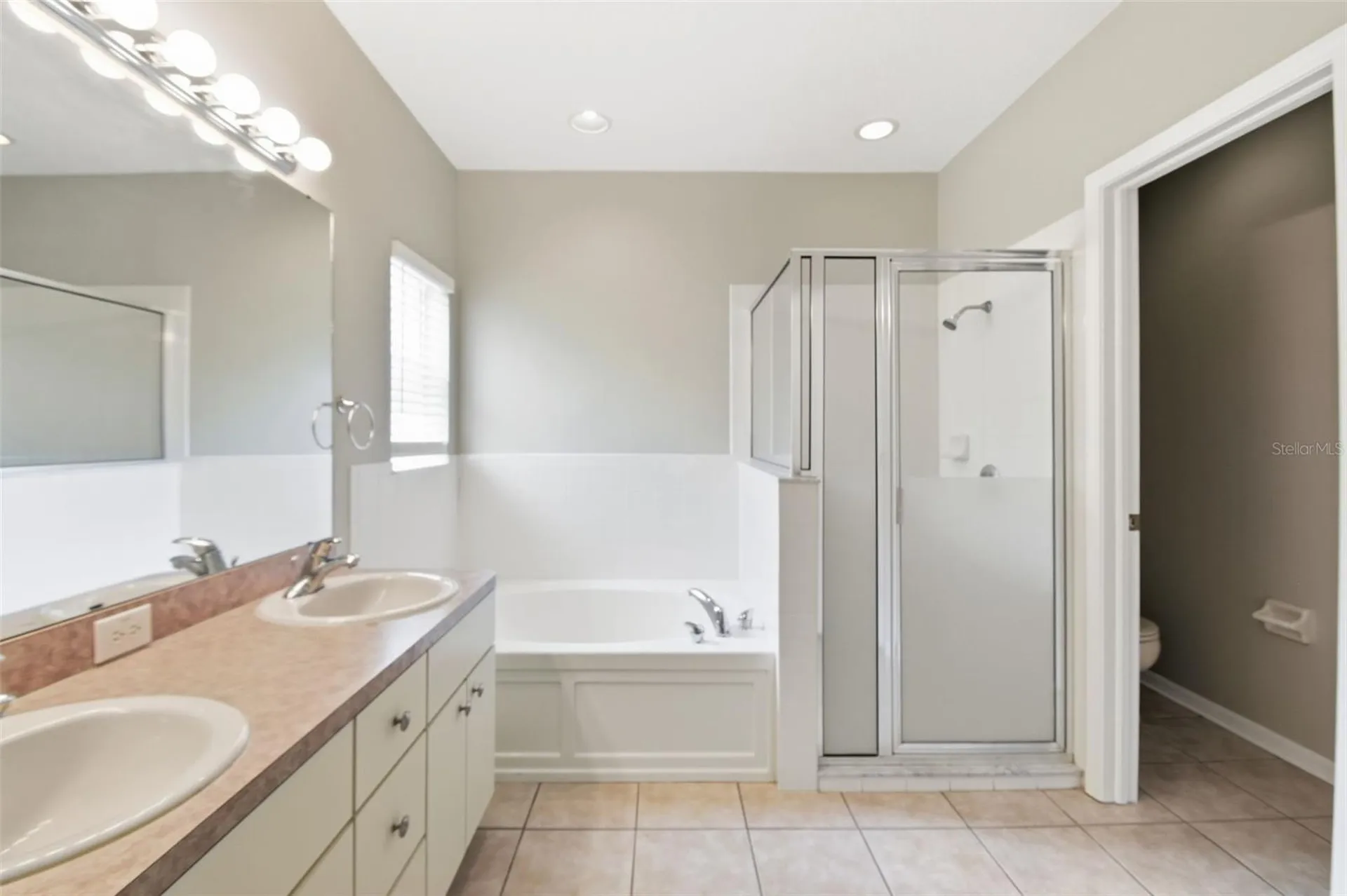 6409 Bridgecrest Drive Lithia FL 33547