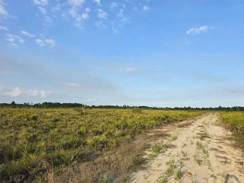 49173 Bermont Road Punta Gorda FL 33982