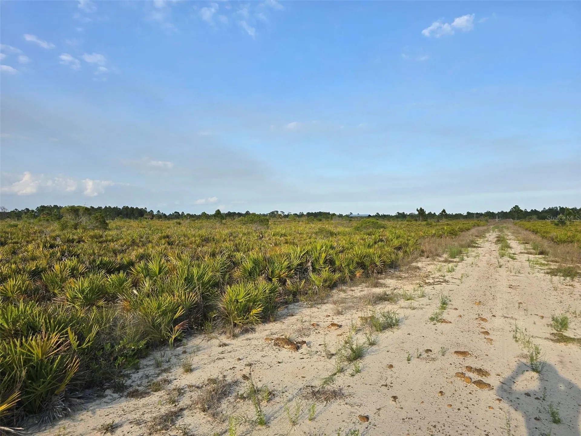 49173 Bermont Road Punta Gorda FL 33982