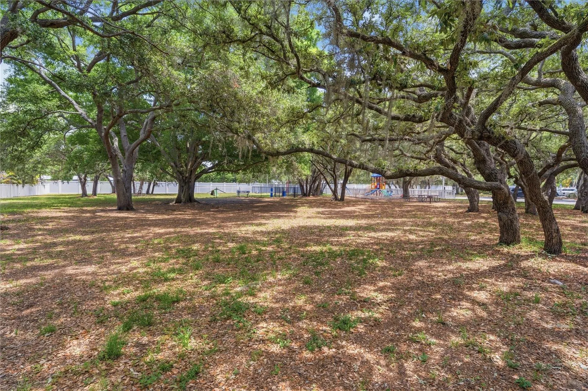 3324 Manor Cove Circle Riverview FL 33578