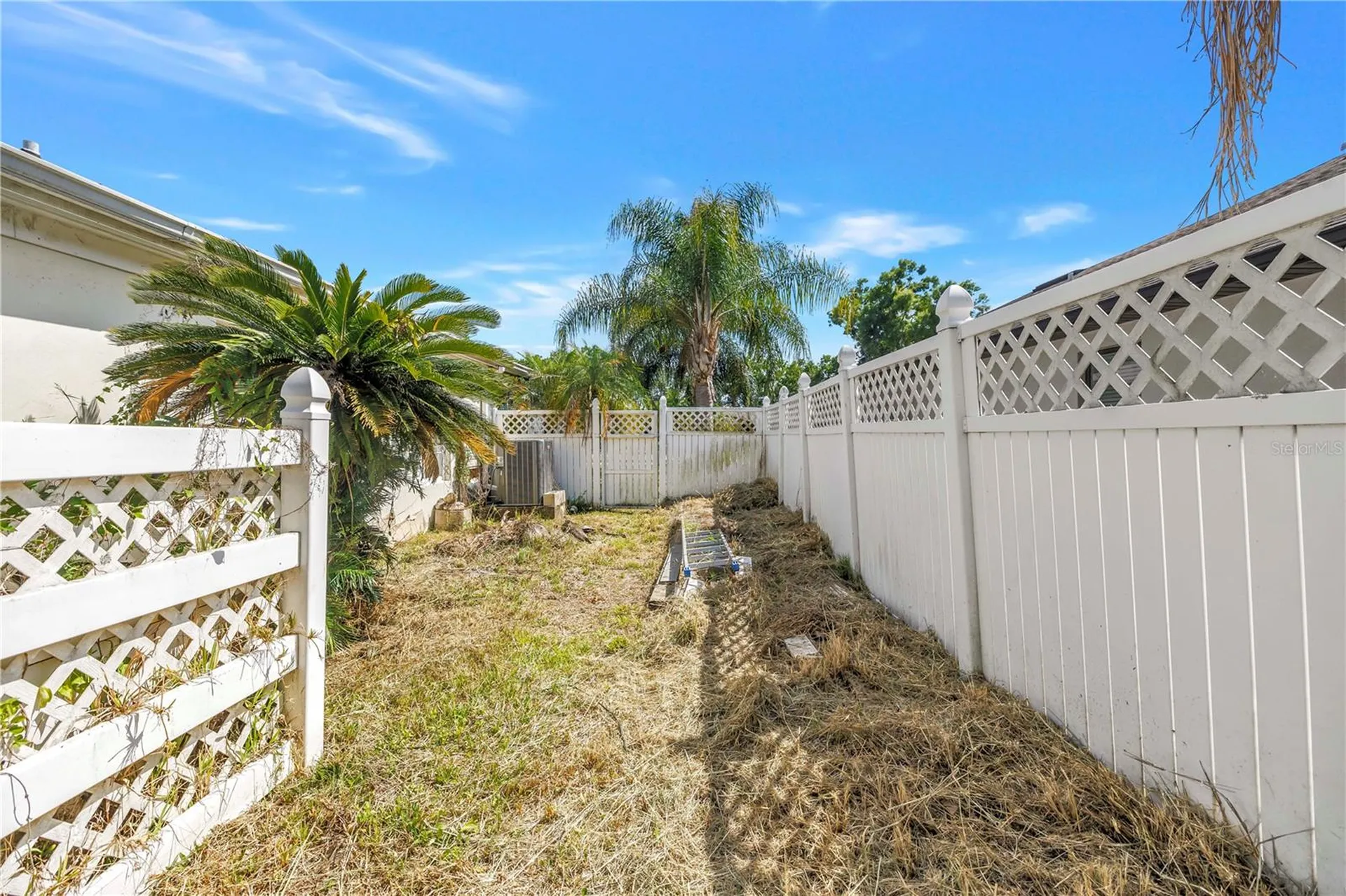 23037 Brownwood Court Land O Lakes FL 34639